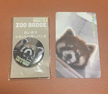 Amazon.co.jp: 東山動物園 れいか シセンレッサーパンダ 缶